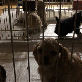 台所でとってたの画像