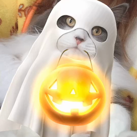 ハロウィンの画像