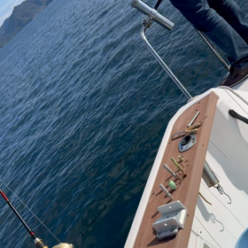 ハマチの心臓の画像