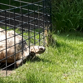 暑さの中☀️の画像