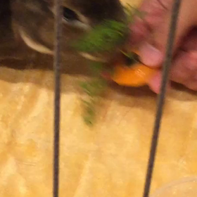 一瞬ですの画像