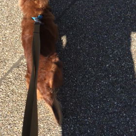 ３３０＄の巻の画像