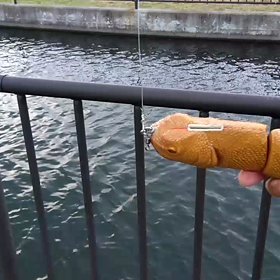 キャットタイプ４連。調整終わりました。の画像