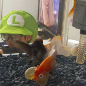 先生から電話の画像