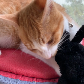 雨のちくもりの画像