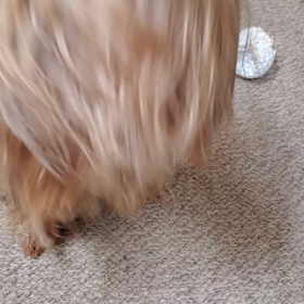 絶好調！の画像