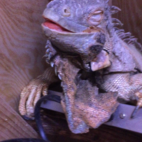 喜怒哀楽の画像