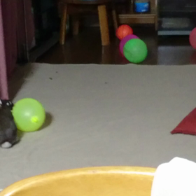 風船遊びの画像