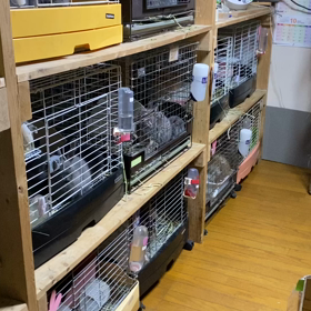 プチプチ模様替えの画像