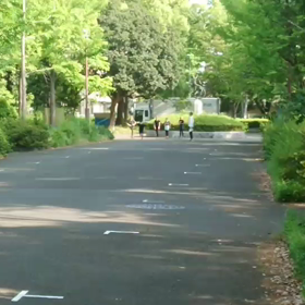 全国予選一次選考会⑬の画像