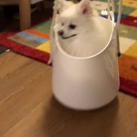 ブランコを作りましたの画像