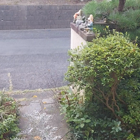 おはようございます♪の画像