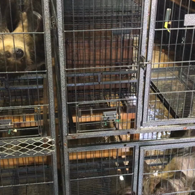 ナマケテマセン！の画像