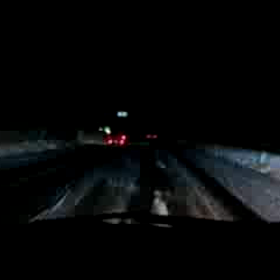 今年も！の画像