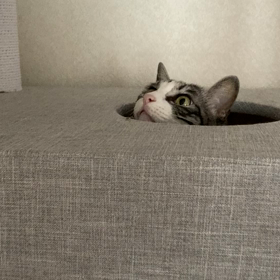 やっと涼しくなってきましたの画像