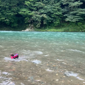 今日の出来事❗️の画像