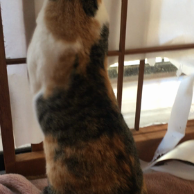 結構ウンザリしています。の画像