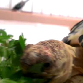 温浴の後はの画像