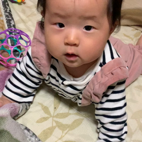 リンクコーデの画像