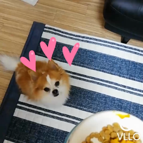 らーくんの朝ごはん動画の画像