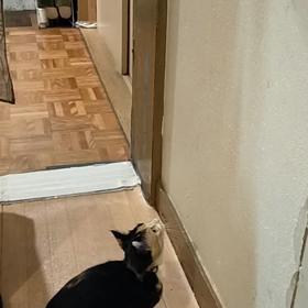 もこジャンプの画像