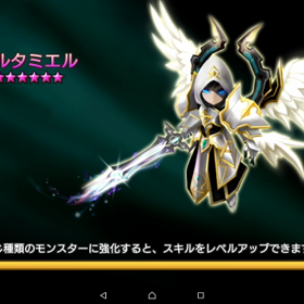 動画テストの画像