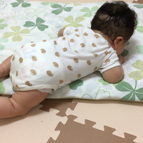 5m12d ずりばい…ではないと思うけどの画像