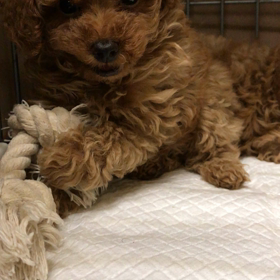 まったりの画像