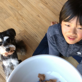 wazzちゃん退院です！の画像