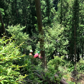 切ったった(≧∀≦)の画像