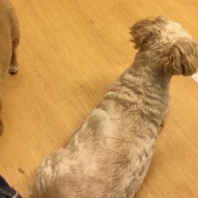 ２度とないかも。の画像