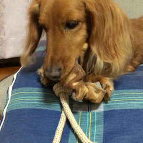 ハピハピ♡の画像