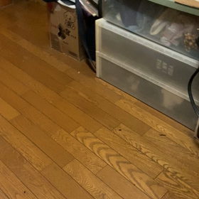 Grateful mind?,?の画像