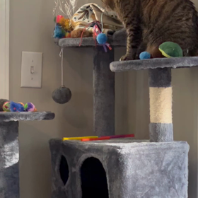 おもちゃどれにしようかなあ？の画像