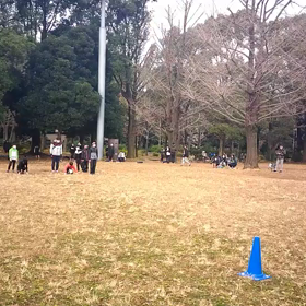 ダッシュ(ピンクチーム)③の画像