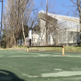 今日の横乗り　　その1 スケートの画像