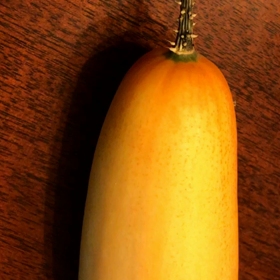 おばけきゅうり  の画像