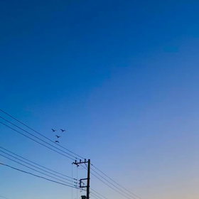 帰宅を急ぐの画像