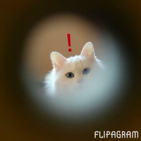 シラスアラートの画像