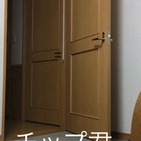 3日続けて筋肉鍛えた、娘と夕食、チップとデールの字幕付きペットどの画像