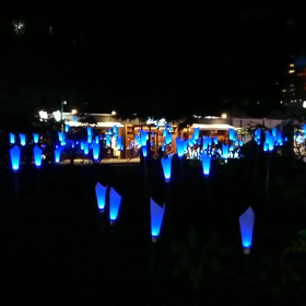 ブルーライトフラワーガーデンの画像