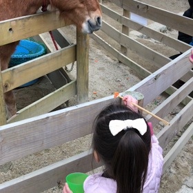 動画♡お馬に人参をあげましたの画像