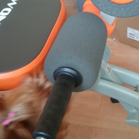 ワンダーコアを初めて見たミラの反応の画像