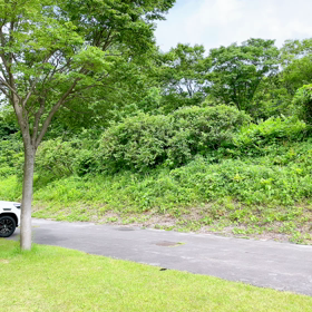 ベビーシッターの画像