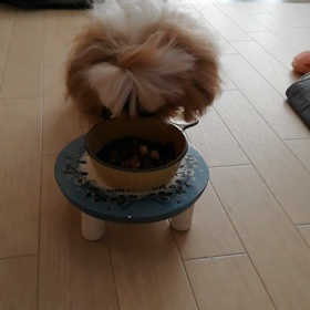 レンレンの記念日の画像