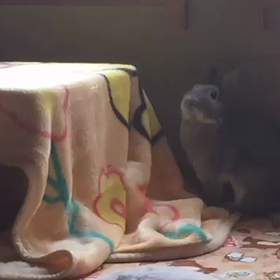 けんちゃんの別荘の画像