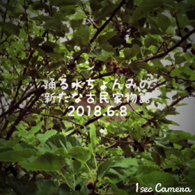 山小屋日記〜ご報告の画像