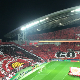 ACL取材&コメントのお返事☆の画像