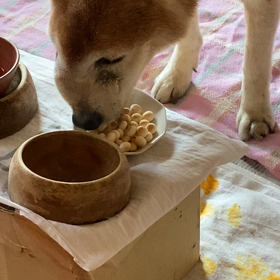 生きる力×中西結合治療=納得できる時間の画像