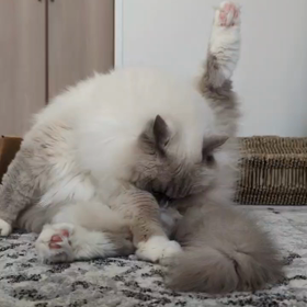 平凡に暮らせる有り難さの画像